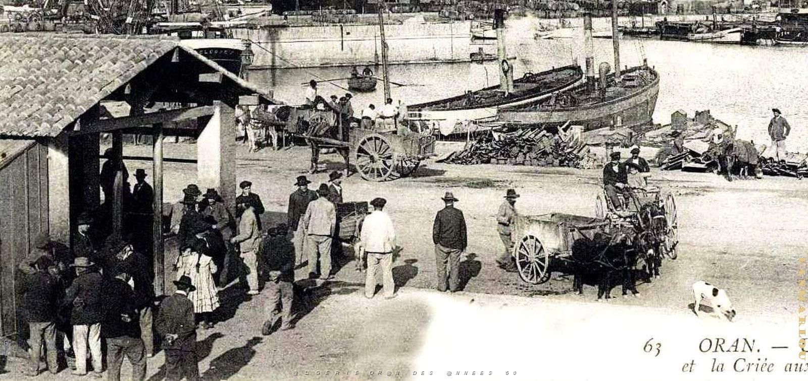 2379- Oran - Port - Criee aux Poissons2 - 1906.jpg